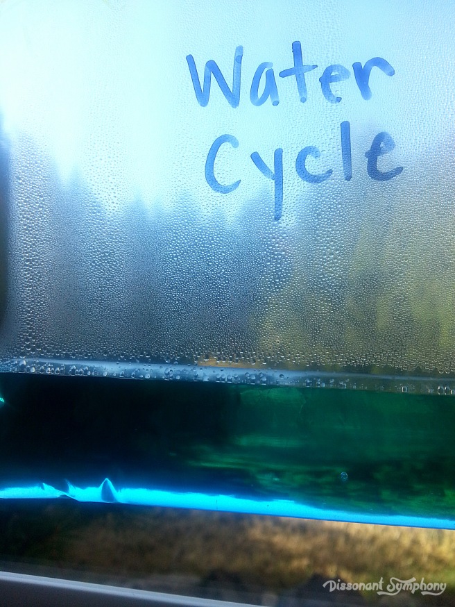 Water Cycle Evaporation and Condensation - Dissonant Symphony