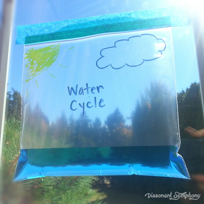 Water Cycle in a Bag - Dissonant Symphony